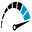 drivingforcecollision.com favicon